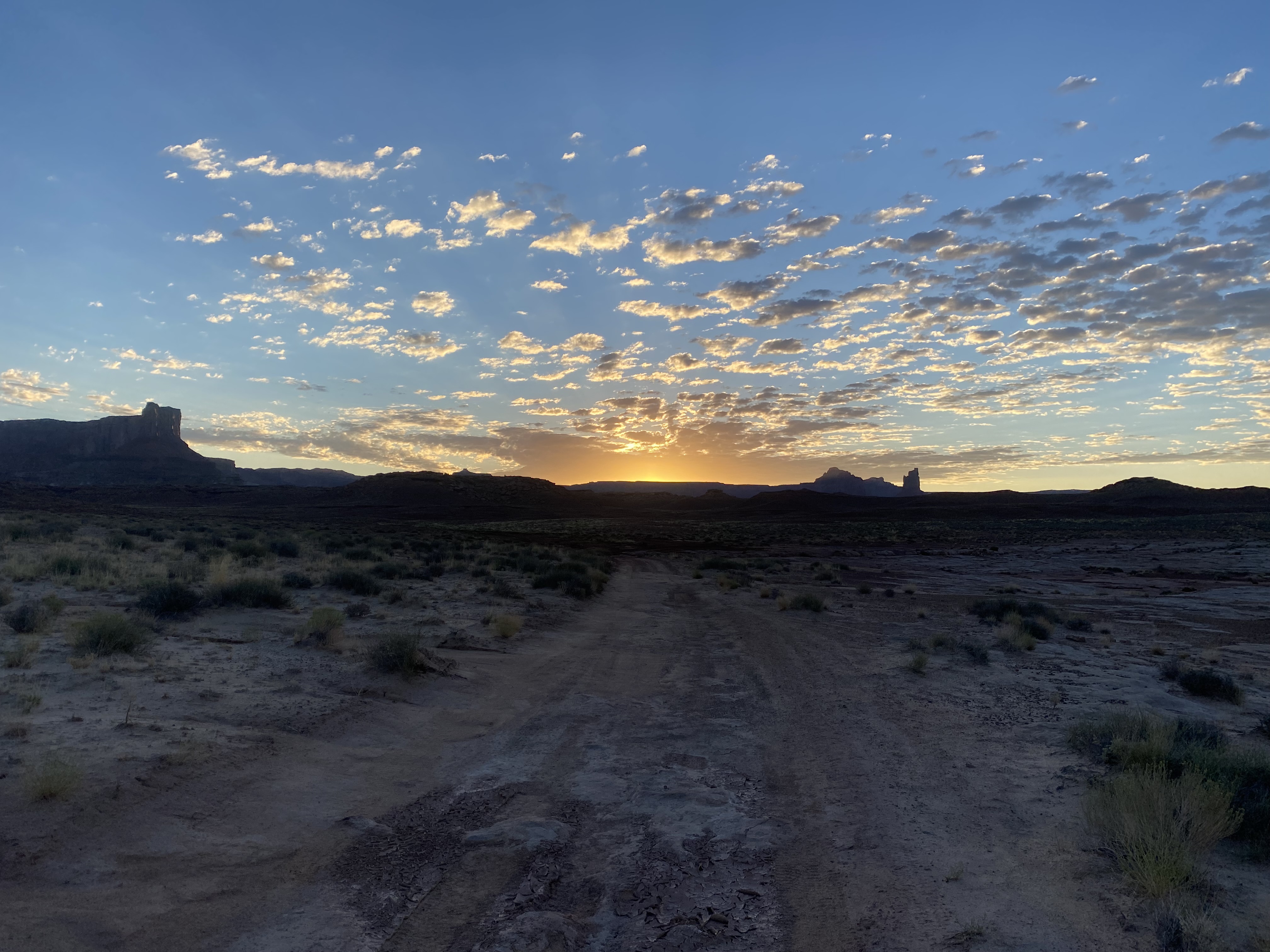White Rim Trail