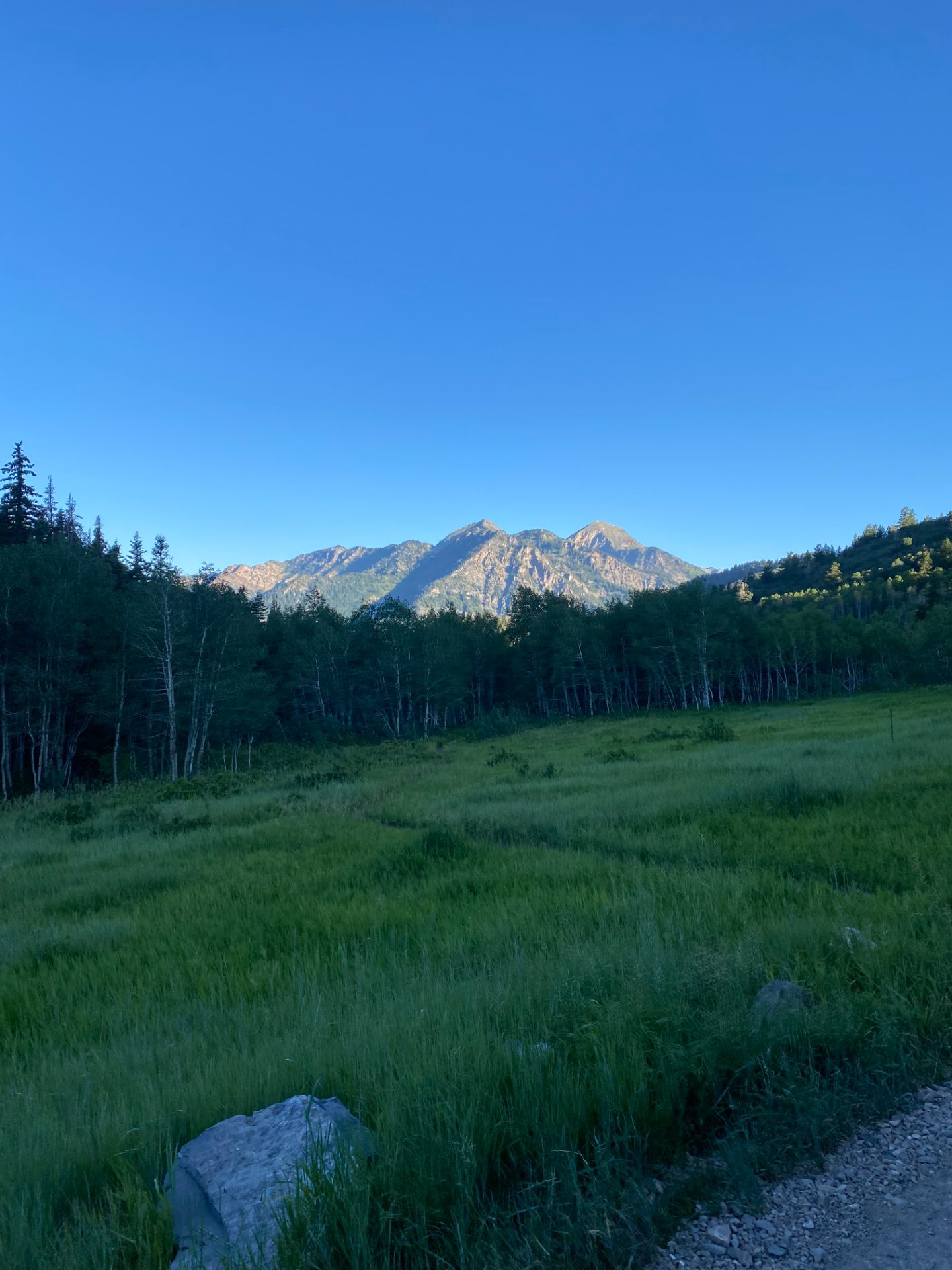Tibble Fork Road Climb